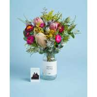 Read LVLY Reviews